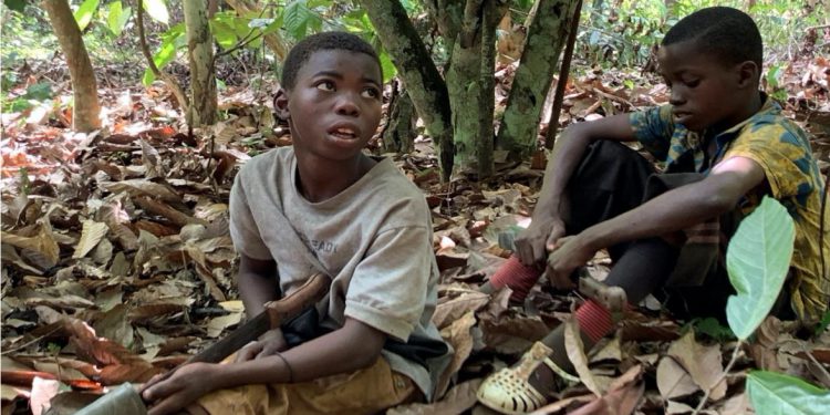 Former child slaves take US class action against chocolate giants