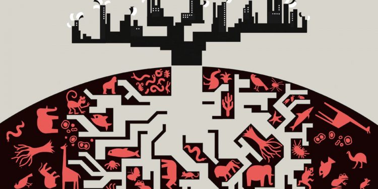 How should economists think about biodiversity?