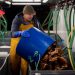 UK admits EU’s ban on shellfish exports ‘correct’