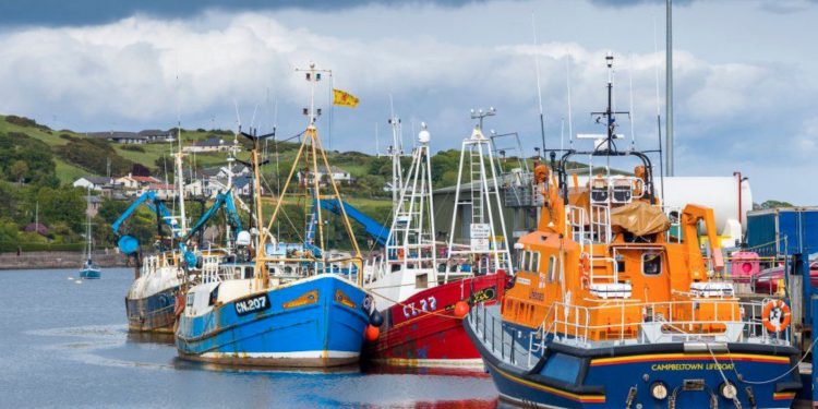 Fishing taskforce to tackle Brexit export ‘issues’