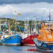 Fishing taskforce to tackle Brexit export ‘issues’