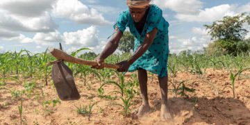 Farmers and rights groups boycott food summit