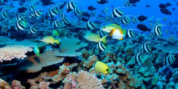 UN: Reflect nature’s true value in economic policies