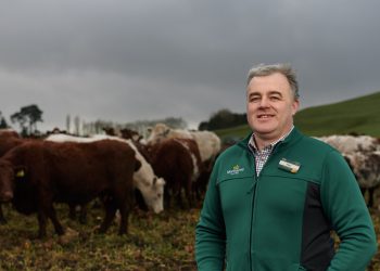 Morrisons working with farmers to create net zero carbon farms