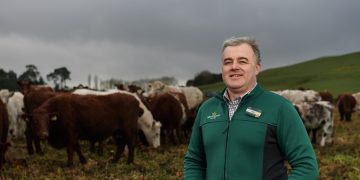 Morrisons working with farmers to create net zero carbon farms