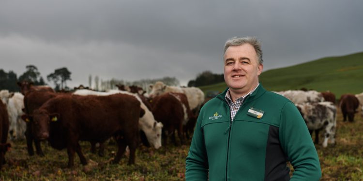 Morrisons working with farmers to create net zero carbon farms