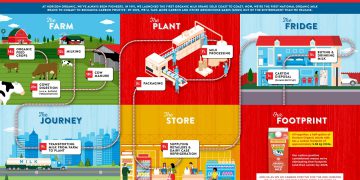 The carbon cost of Horizon milk determined
