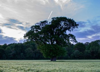 UK sustainable farming