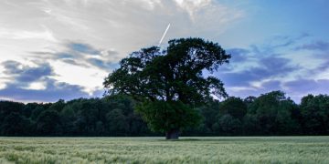 UK sustainable farming