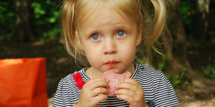 MPs call for Right to Food to be enshrined in law for England