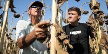 regenerative and organic food (crops)