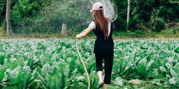 Breakthrough study assesses water impact of US diets