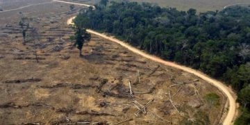 food brands challenge deforestation