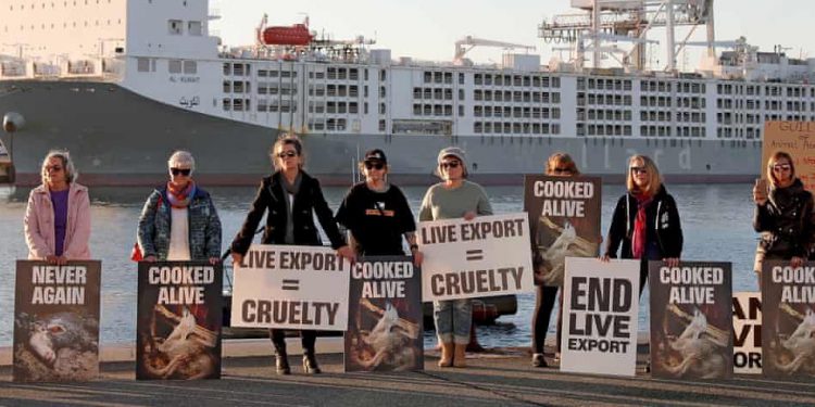 Animals recognised as sentient beings in UK law