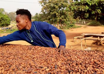 Ivory Coast, Ghana push to boost cocoa payments