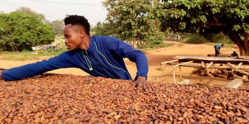Ivory Coast, Ghana push to boost cocoa payments