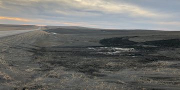 Organic General Mills farm “harms environment”