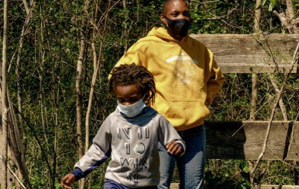 “It’s a place of healing”: the growth of US food forests