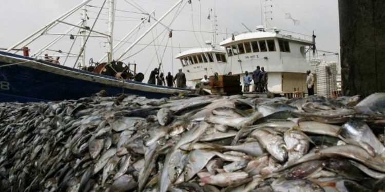 Trawling emits as much CO2 as global aviation