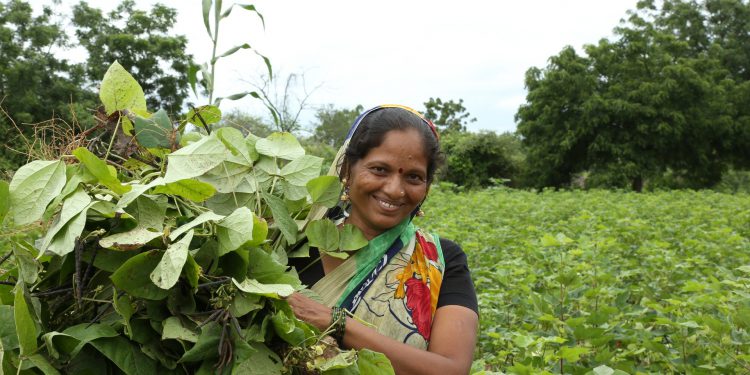 Acknowledge big farms, to hold them accountable