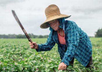 Retailer Kroger commits on workers’ human rights