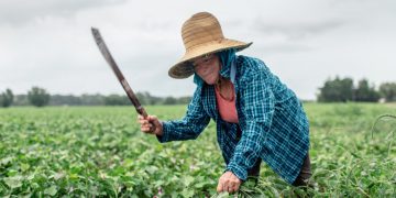 Retailer Kroger commits on workers’ human rights