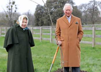 UK tree-planting drive ahead of hosting COP26