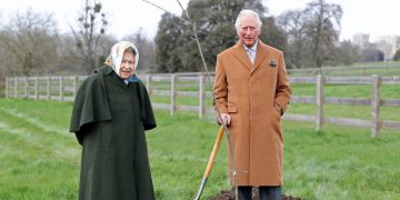 UK tree-planting drive ahead of hosting COP26
