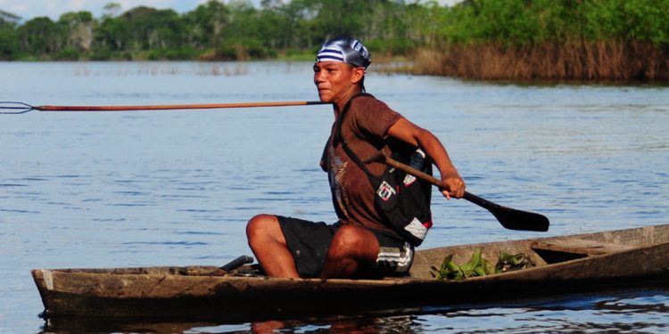 Indigenous Peoples' food