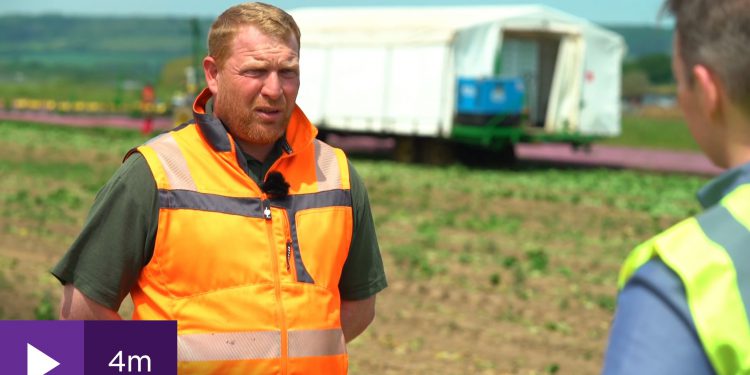 Labour shortages, call for Brexit rules to be relaxed