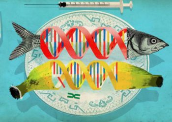 genetic engineering in food
