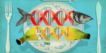 genetic engineering in food