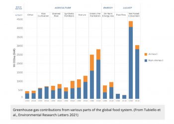 Food systems offer huge opportunities to cut emissions