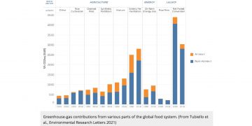 Food systems offer huge opportunities to cut emissions