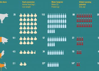 Are insects safe to eat? FAO explains