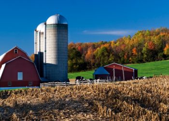 Agrifood air pollution deaths compare to those from car pollution