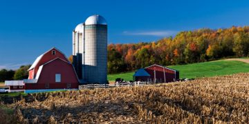 Agrifood air pollution deaths compare to those from car pollution