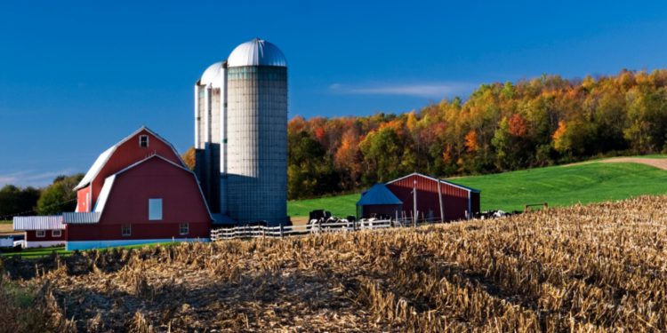 Agrifood air pollution deaths compare to those from car pollution