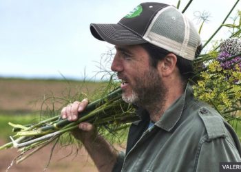 fruit and vegetable varieties