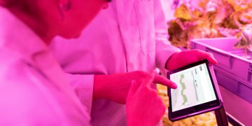 Better eco data needed for improved food labelling, UK taskforce