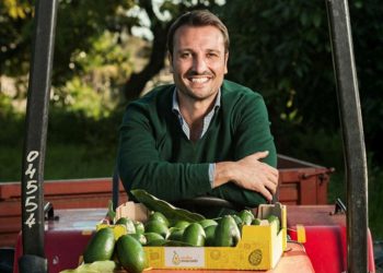 Growing avocados in Sicily and climate change