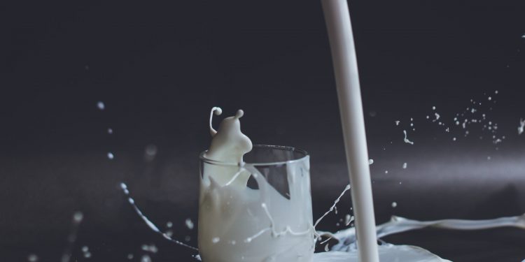 Plant-based costs three times more and is less nutritious than dairy