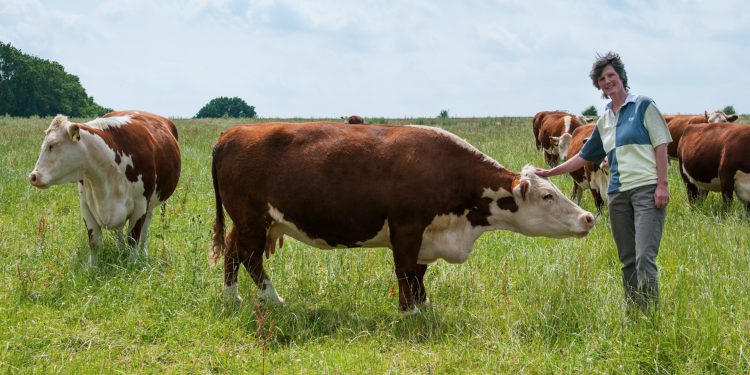 Once-in-a-generation chance to fix food labelling, says consortium