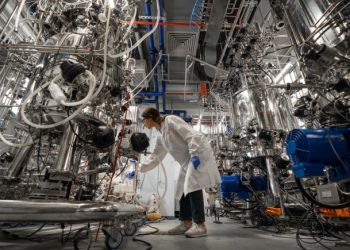 cultured meat production