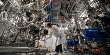 cultured meat production