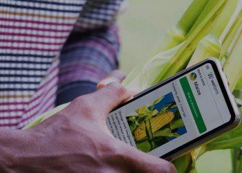 Europe dominates novel farming worldwide