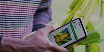 Europe dominates novel farming worldwide