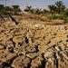 The Middle East and north Africa are parched