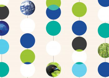 Ecosystem collapse could wipe trillions from global GDP