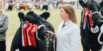 Dusty reports and waiting farmers